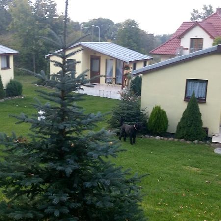 Domki Letniskowe W Wapnicy Villa Lubin  Exterior foto